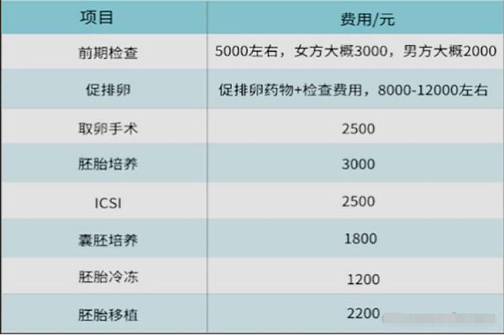合肥一个试管多少钱